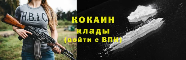 дживик Аркадак