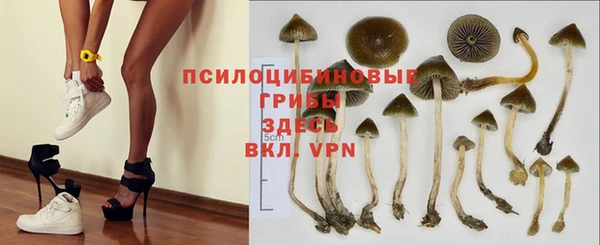 дживик Аркадак