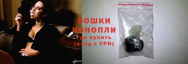 дживик Аркадак