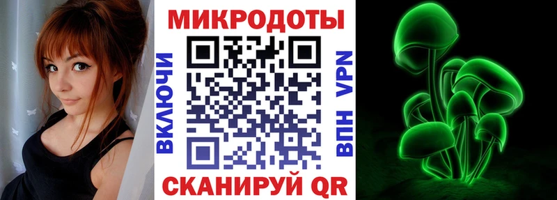 кракен зеркало  что такое наркотик  Урус-Мартан  Галлюциногенные грибы Cubensis 